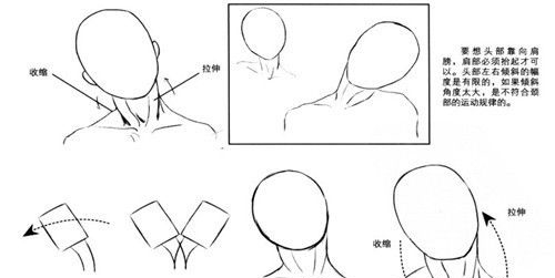 动画角色脖子的画法有什么诀窍？