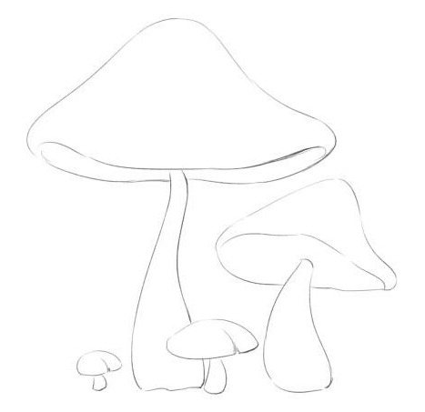 植物插画系列：蘑菇、灌木、茎、乔木的画法。