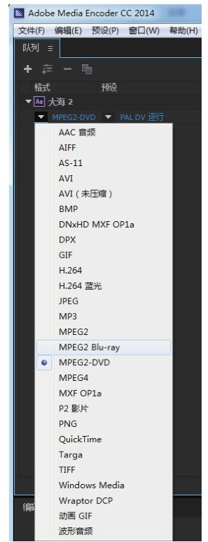 将AE影片输出为不同的文件格式。