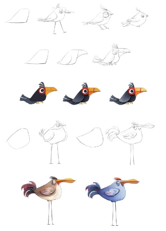 鸟类插画，猫头鹰公鸡鸟画教程