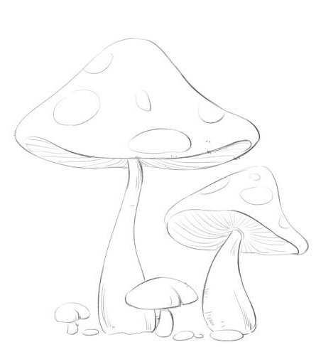 植物插画系列：蘑菇、灌木、茎、乔木的画法。