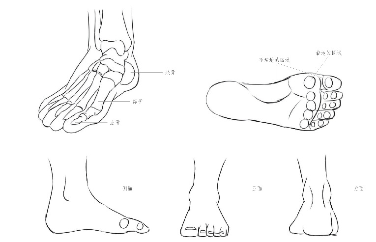 如何画出卡通人物的手、脚、胳膊、腿和四肢