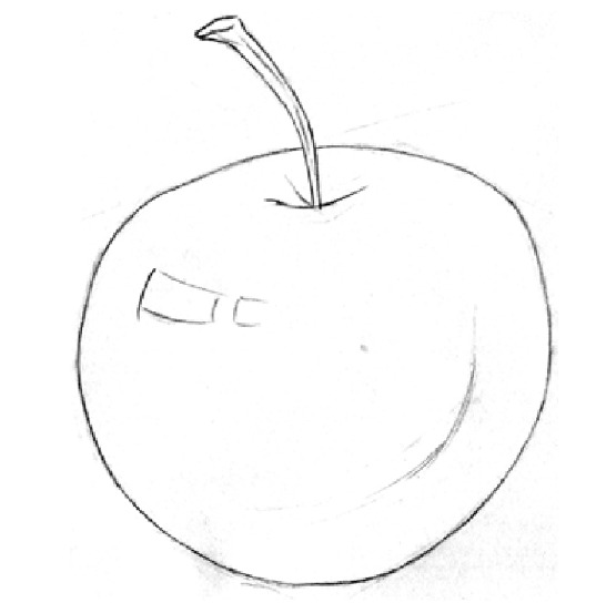 水果道具、苹果和葡萄的绘画