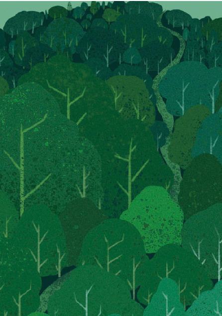 插画师用 PS 绘制森林插画的方法
