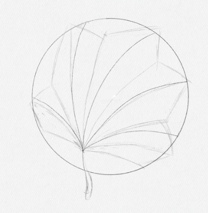 procreate怎么绘制简单精美的枫叶？ipad插画步骤分享！